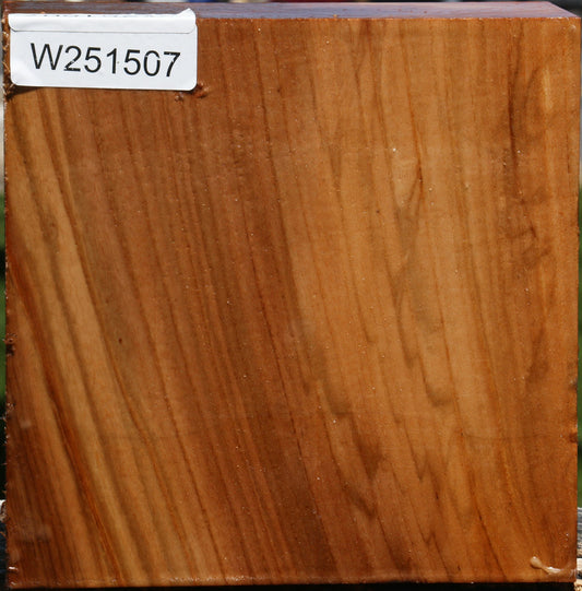 Chinese Elm Bowl Blank