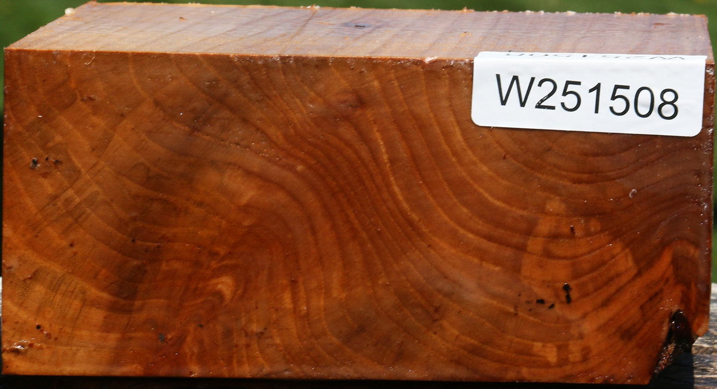Figured Chinese Elm Bowl Blank