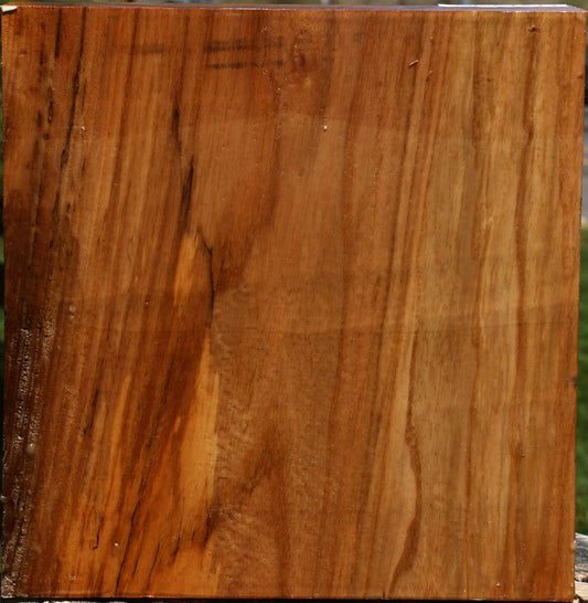Figured Chinese Elm Bowl Blank