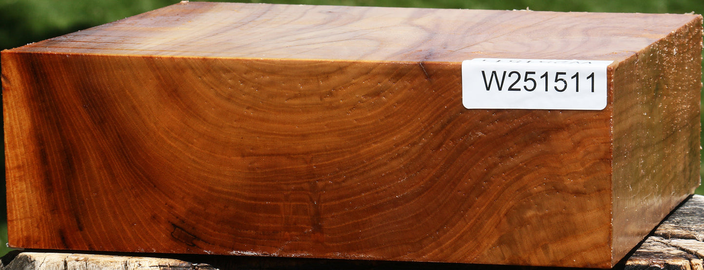 Figured Chinese Elm Bowl Blank