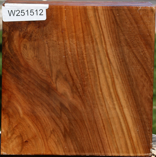 Figured Chinese Elm Bowl Blank