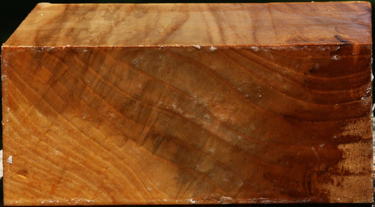 Chinese Elm Bowl Blank