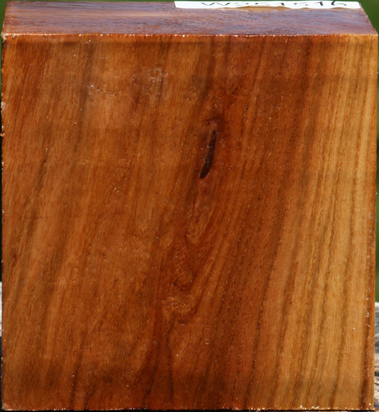 Figured Chinese Elm Bowl Blank
