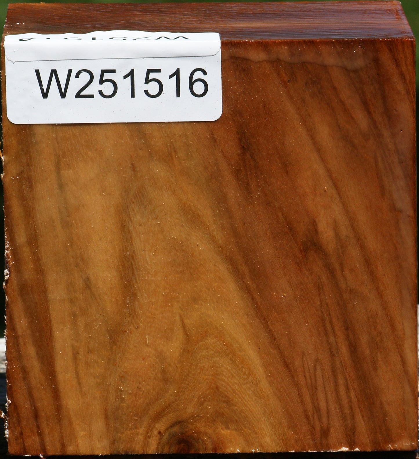Figured Chinese Elm Bowl Blank