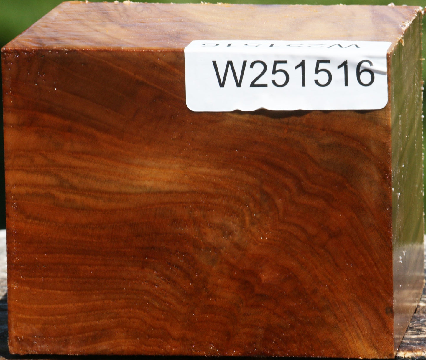 Figured Chinese Elm Bowl Blank