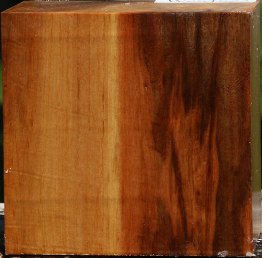 Chinese Elm Bowl Blank