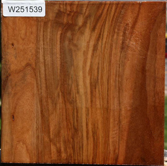 Figured Chinese Elm Bowl Blank
