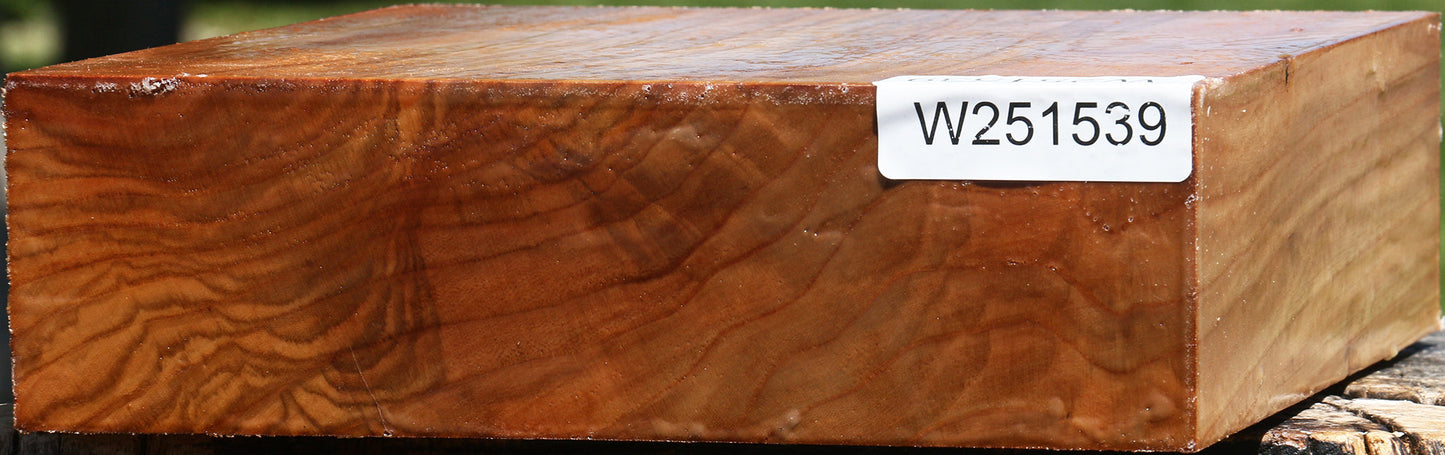 Figured Chinese Elm Bowl Blank