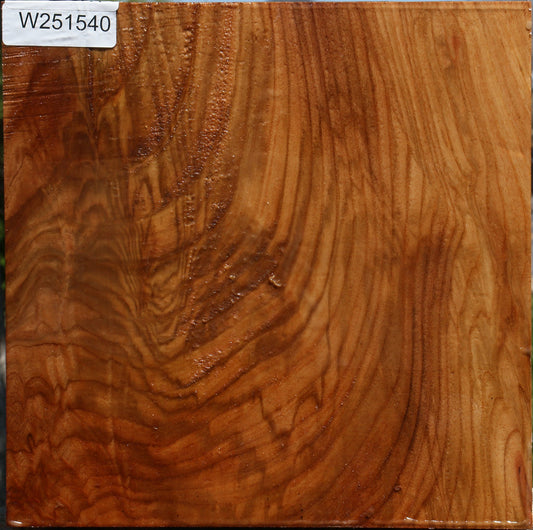 Extra Fancy Chinese Elm Bowl Blank