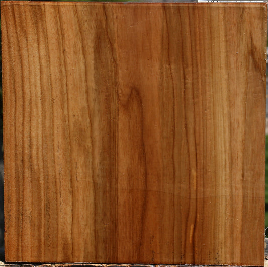 Figured Chinese Elm Bowl Blank