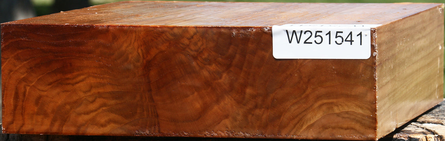 Figured Chinese Elm Bowl Blank