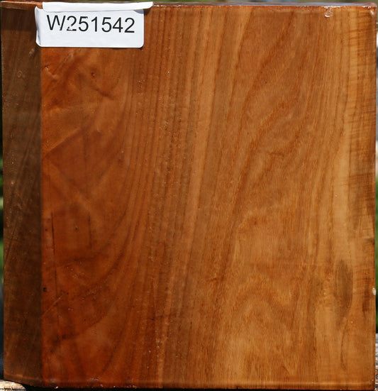Chinese Elm Bowl Blank