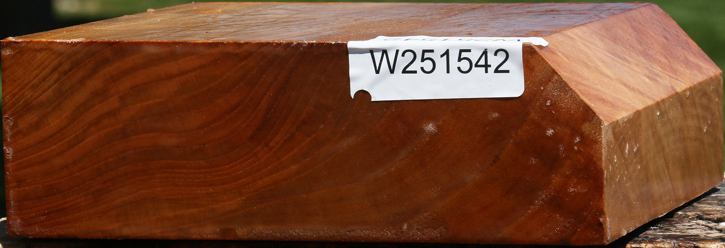 Chinese Elm Bowl Blank