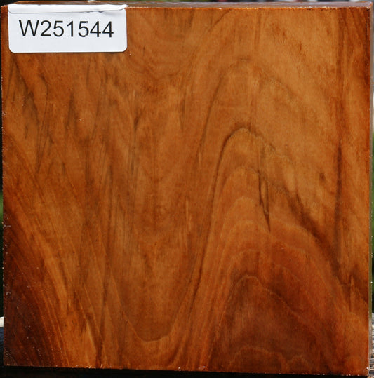 Chinese Elm Bowl Blank