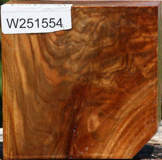 Extra Fancy Chinese Elm Bowl Blank