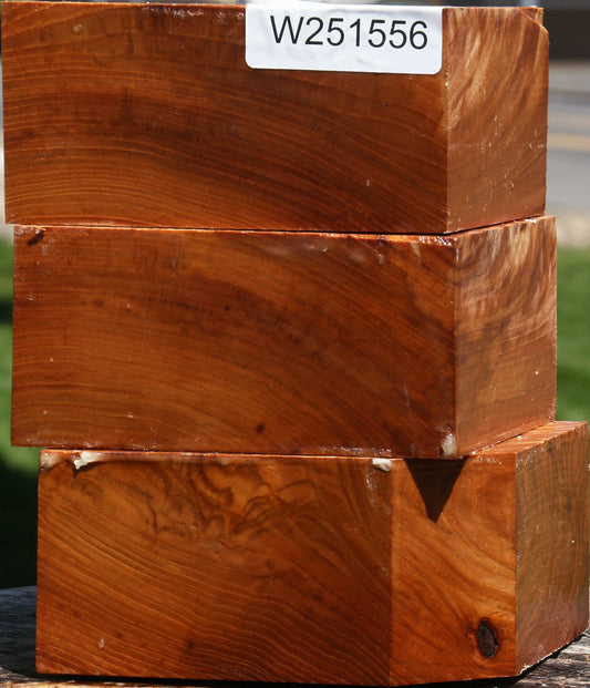 Chinese Elm Bowl Blank 3 Pack