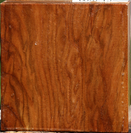 Figured Chinese Elm Bowl Blank
