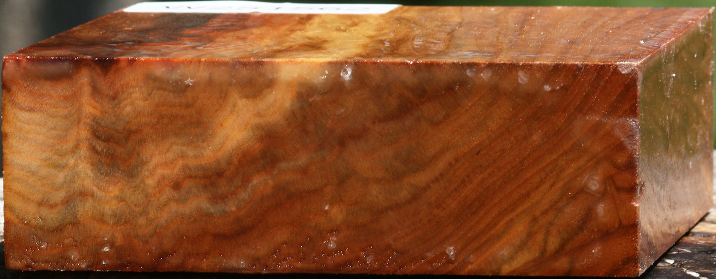 Figured Chinese Elm Bowl Blank