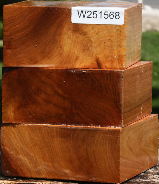 Chinese Elm Bowl Blank 3 Pack