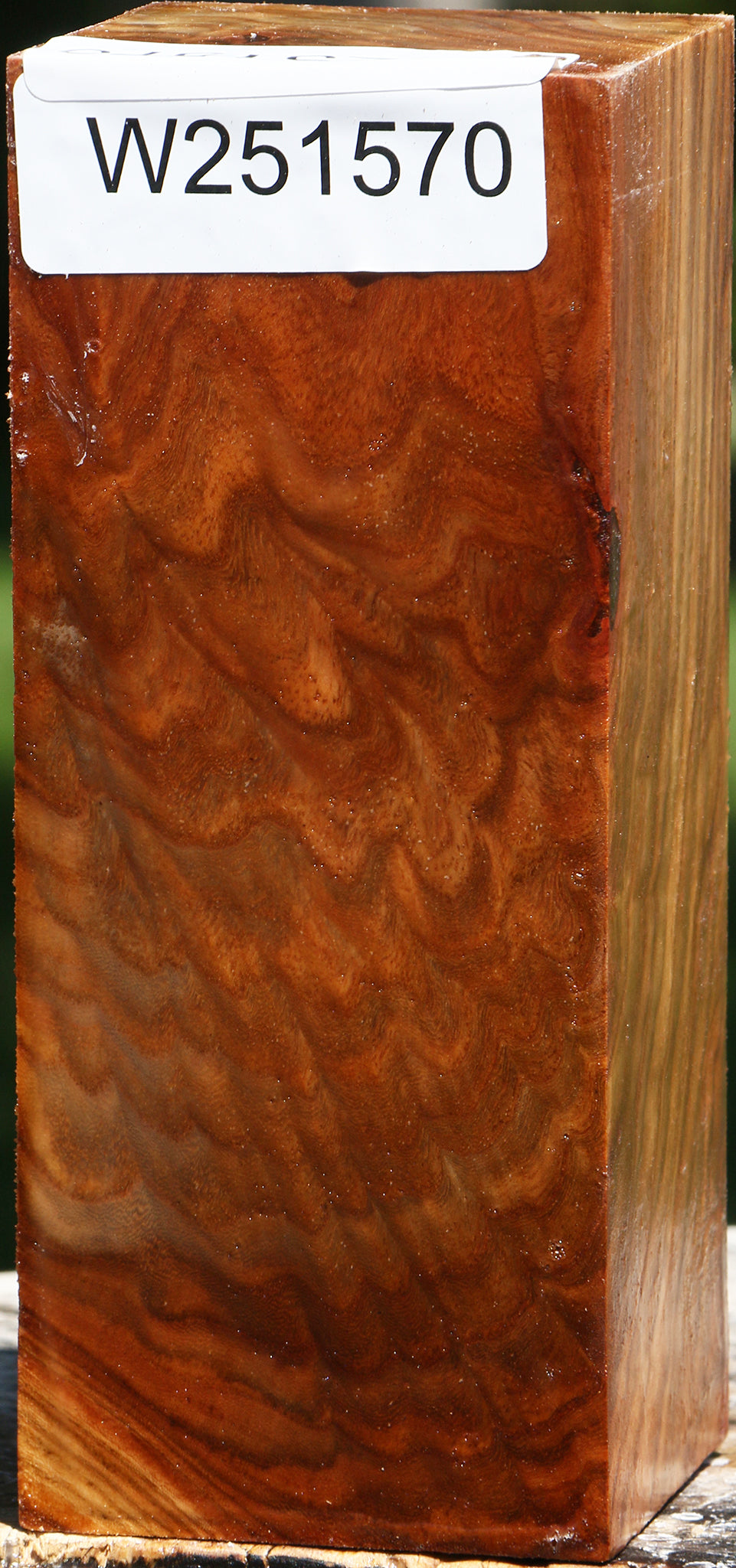 Extra Fancy Chinese Elm Turning Square