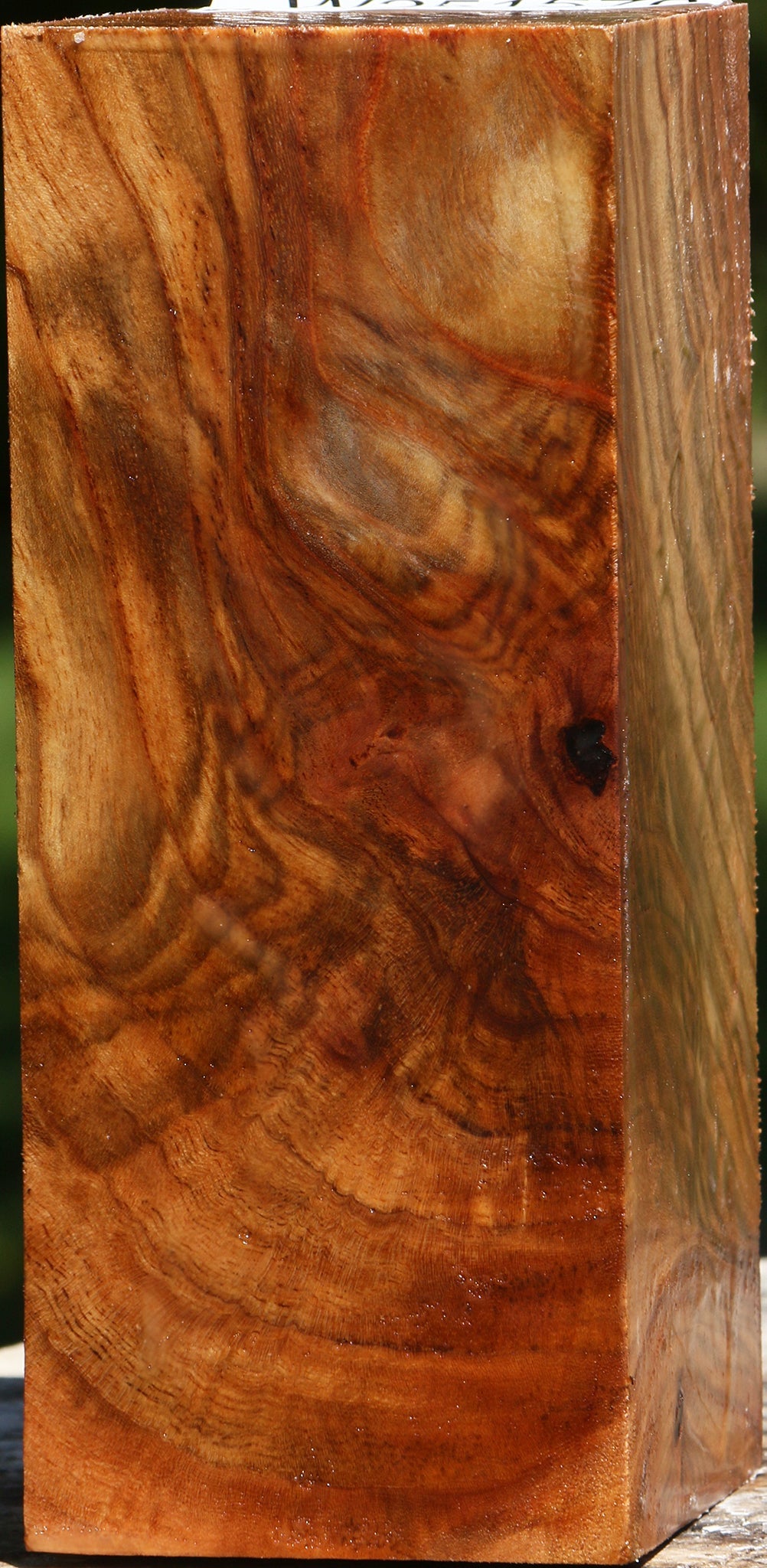 Extra Fancy Chinese Elm Turning Square