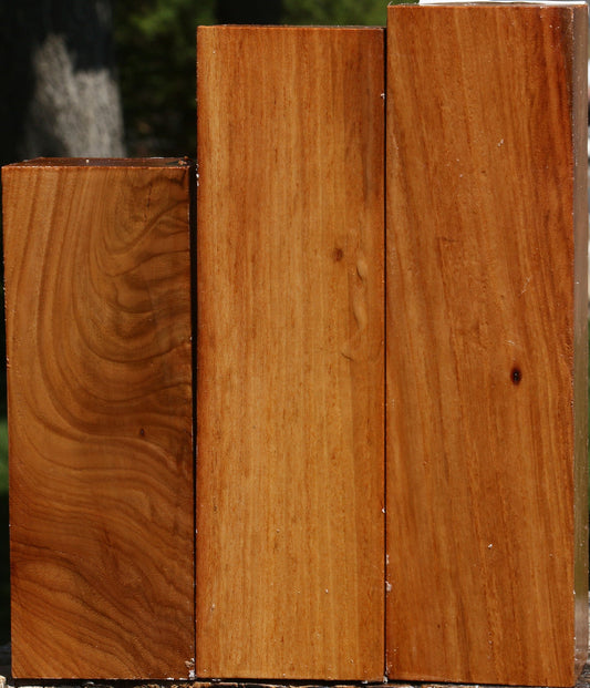 Chinese Elm Turning Square 3 Pack