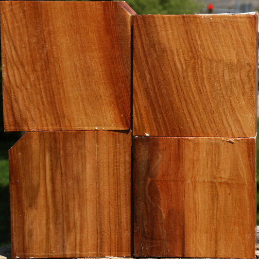 Chinese Elm Bowl Blank 4 Pack