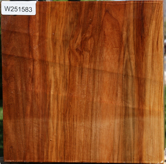 Figured Chinese Elm Platter Blank
