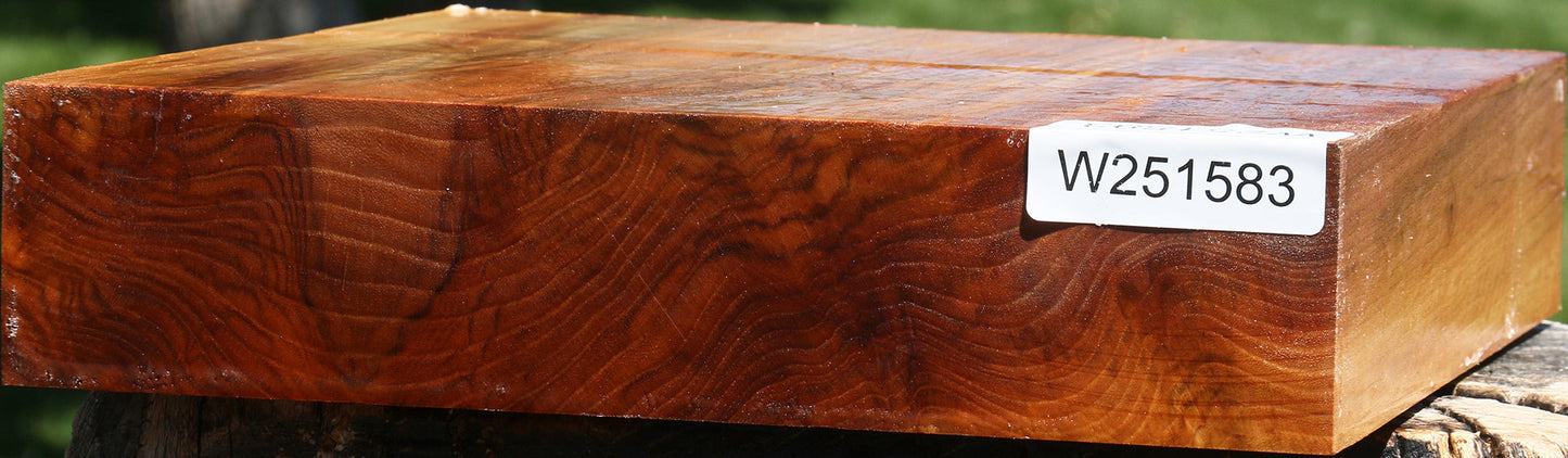 Figured Chinese Elm Platter Blank