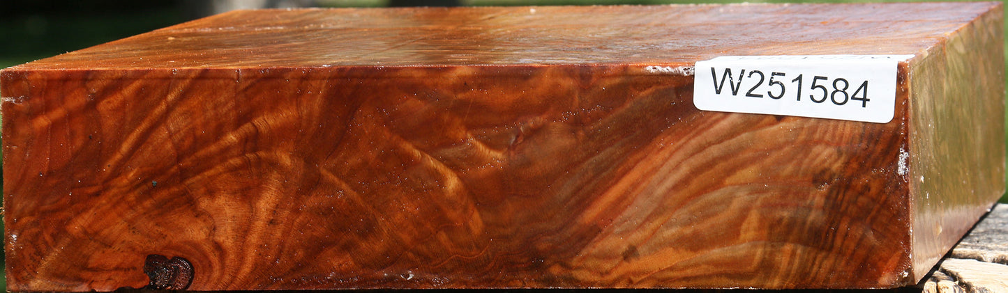 Extra Fancy Chinese Elm Platter Blank