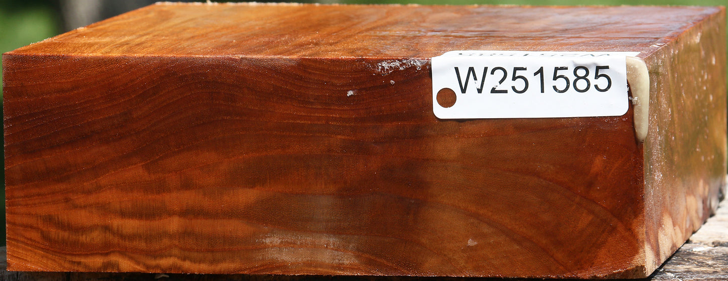 Figured Chinese Elm Bowl Blank