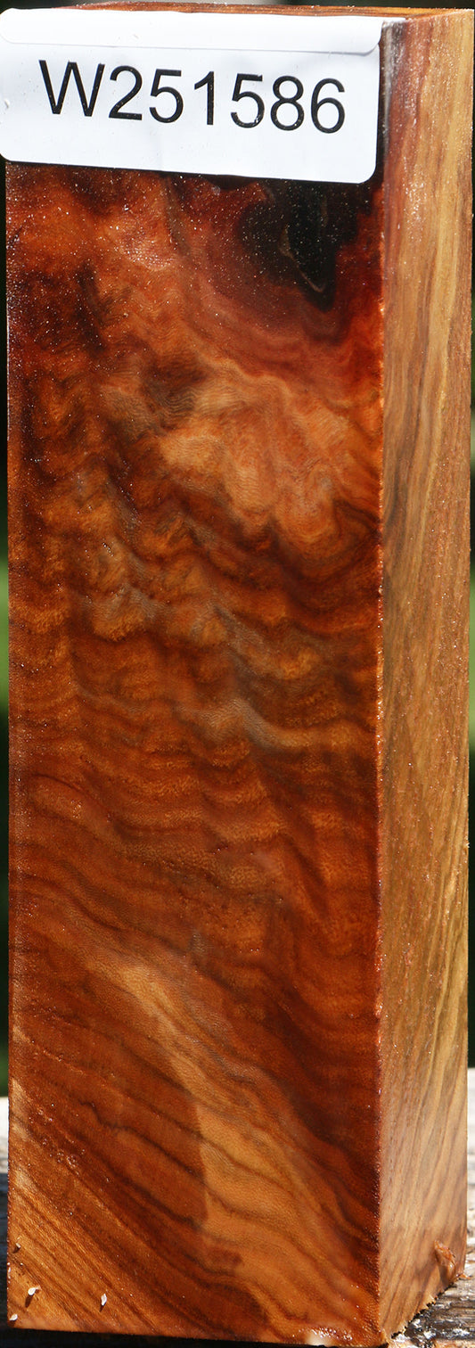 Extra Fancy Chinese Elm Turning Square