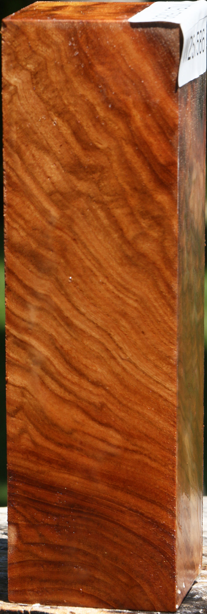 Extra Fancy Chinese Elm Turning Square