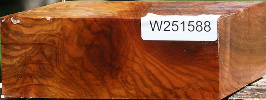 Extra Fancy Chinese Elm Bowl Blank