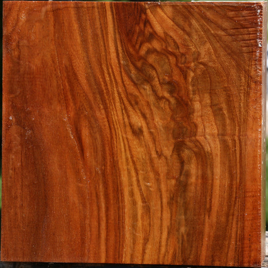Extra Fancy Chinese Elm Bowl Blank