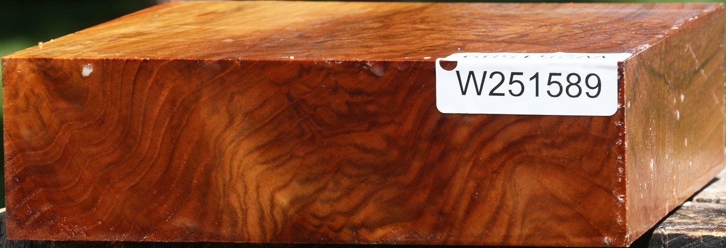 Extra Fancy Chinese Elm Bowl Blank