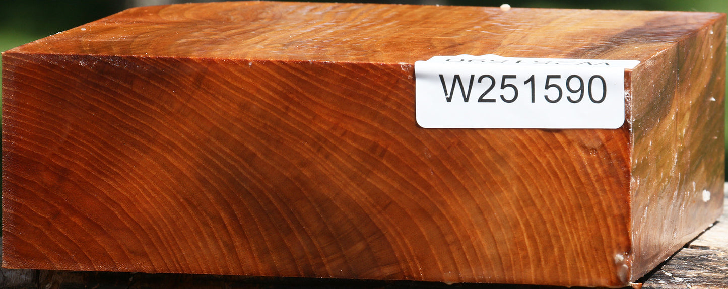 Chinese Elm Bowl Blank
