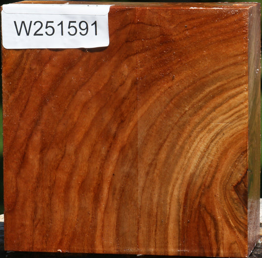 Figured Chinese Elm Bowl Blank