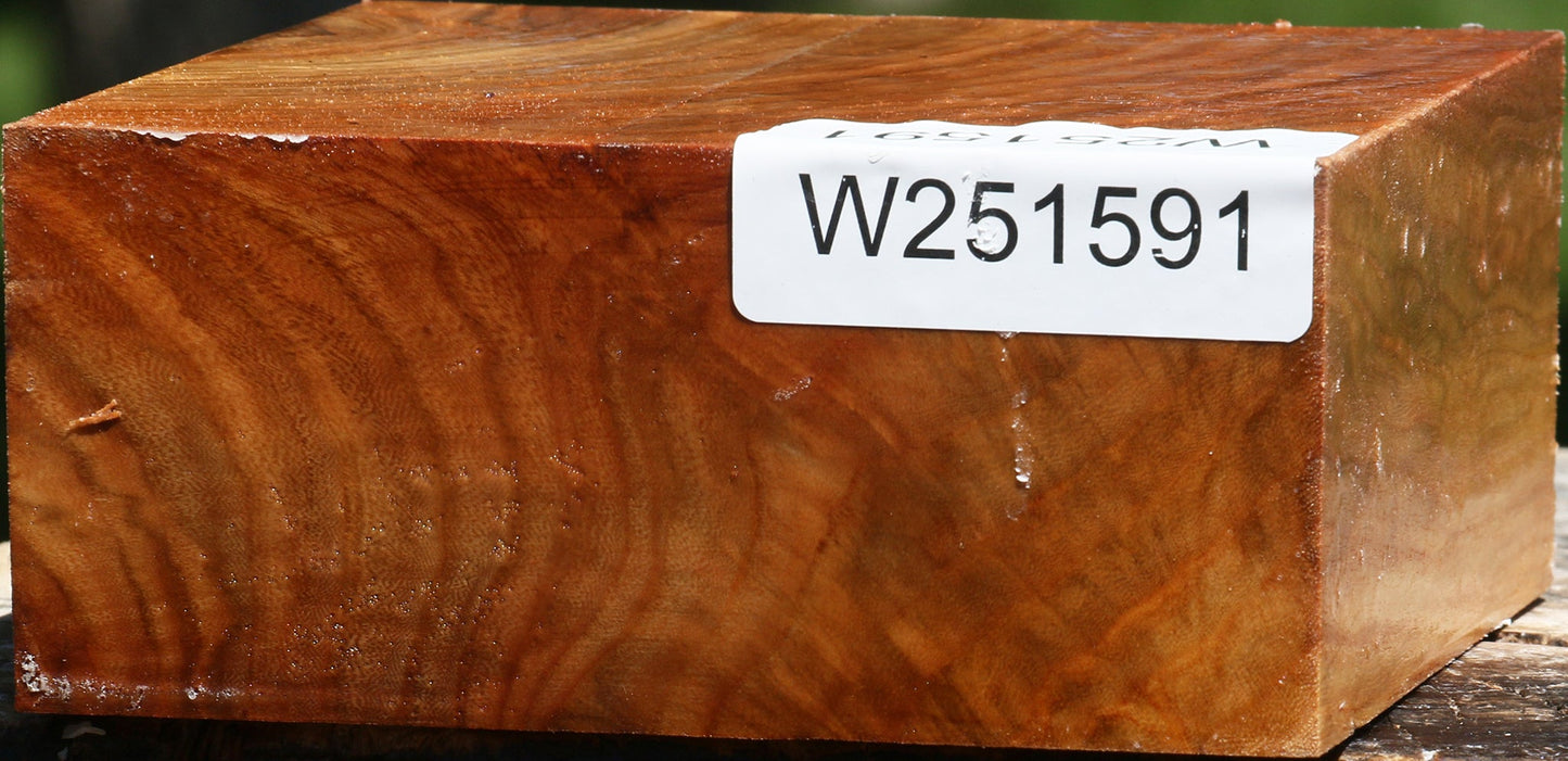 Figured Chinese Elm Bowl Blank