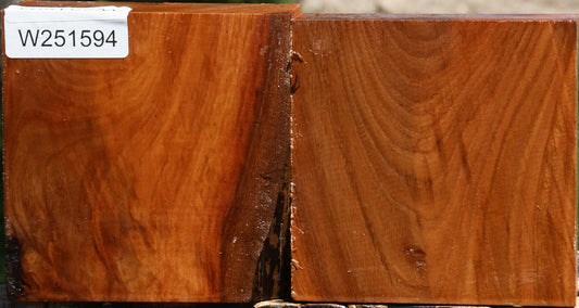 Chinese Elm Bowl Blank 2 Pack