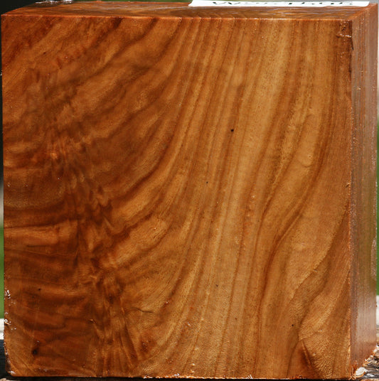Extra Fancy Chinese Elm Bowl Blank