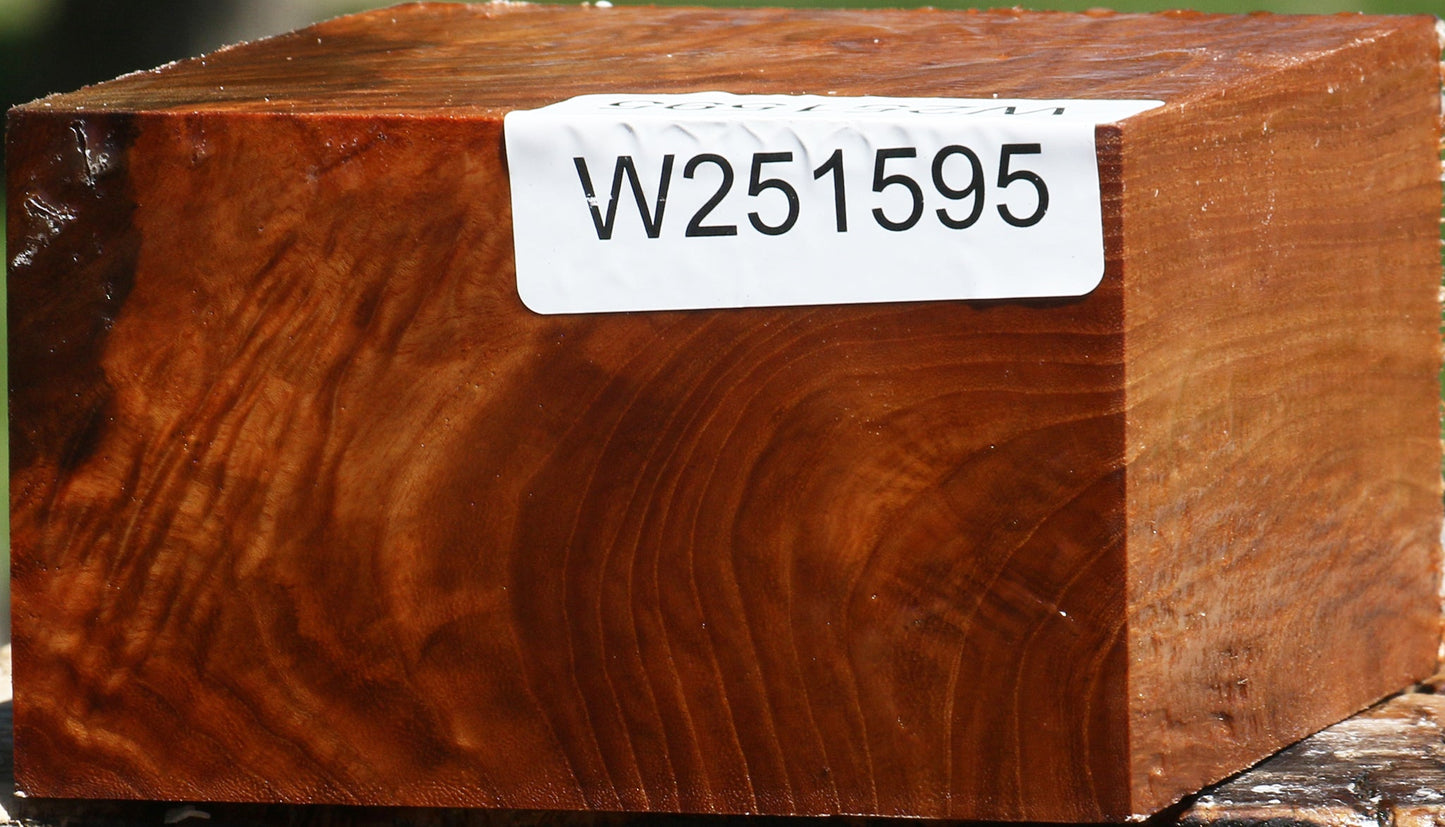 Extra Fancy Chinese Elm Bowl Blank