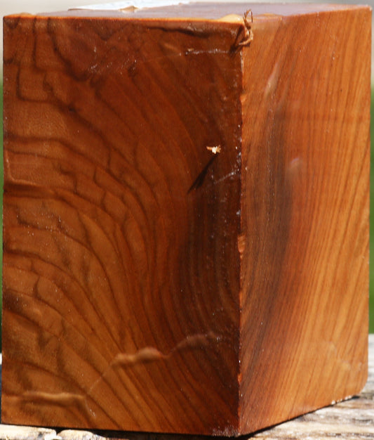 Figured Chinese Elm Bowl Blank