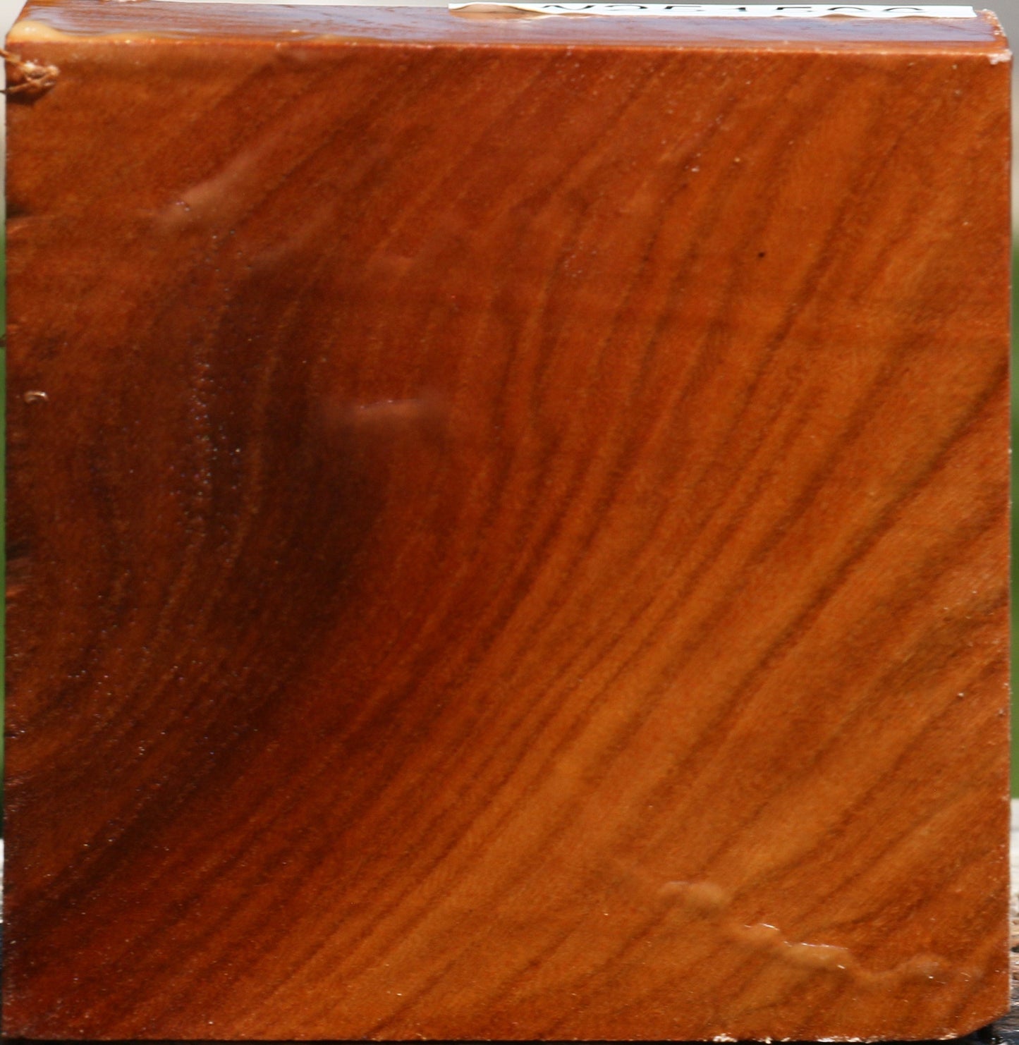 Figured Chinese Elm Bowl Blank
