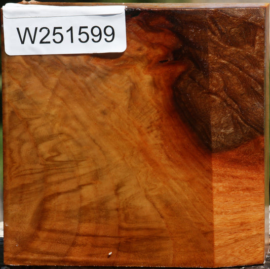 Figured Chinese Elm Bowl Blank
