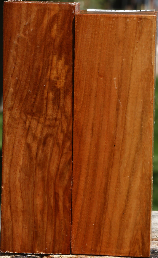 Chinese Elm Turning Square 2 Pack