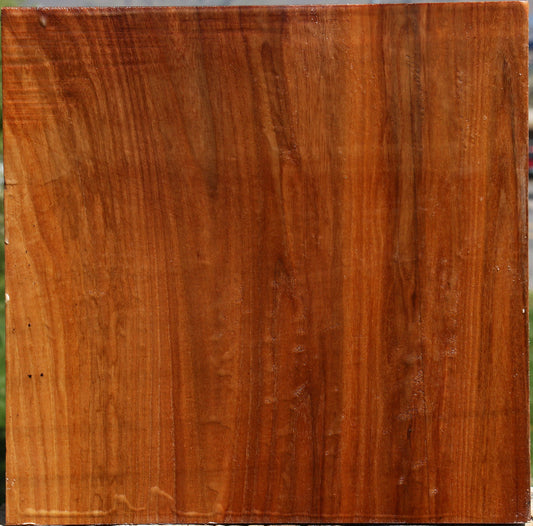 Figured Chinese Elm Bowl Blank