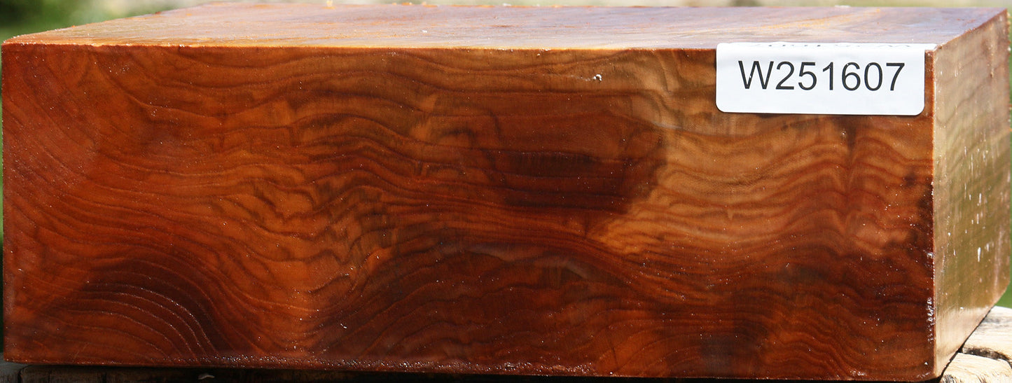 Figured Chinese Elm Bowl Blank