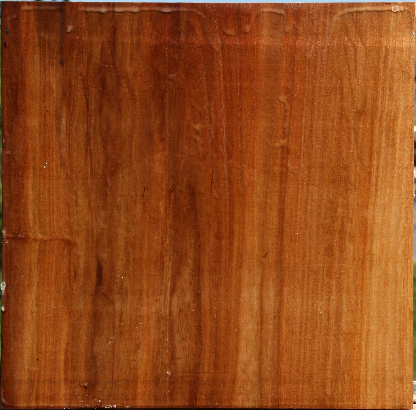 Figured Chinese Elm Bowl Blank