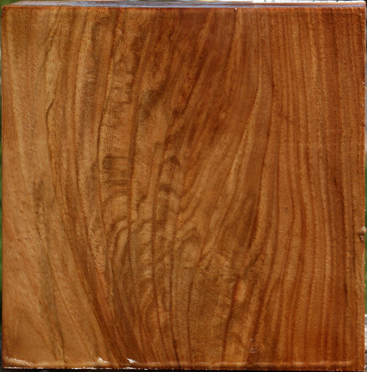 Figured Chinese Elm Bowl Blank